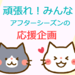 転職系アフィリエイトで雑記ブログ収益化のお手伝い(実績15年以上)