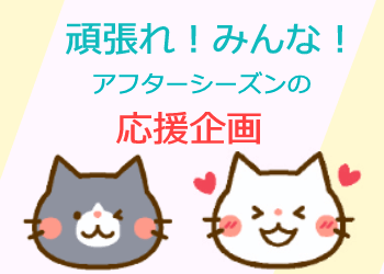 転職系アフィリエイトで雑記ブログ収益化のお手伝い(実績15年以上)